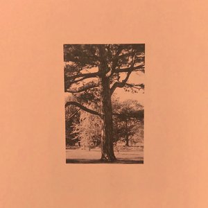 真人做爱高潮视频
